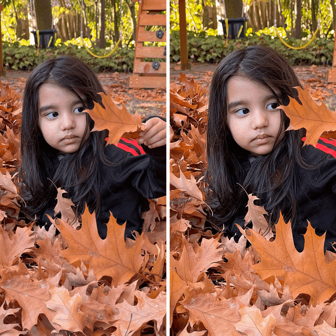 Animated GIF showing two photos of a small girl playing in a pile of leaves side by side. The photo on the left is static, while the photo on the right shows a slow zooming in, smooth panning feature.
